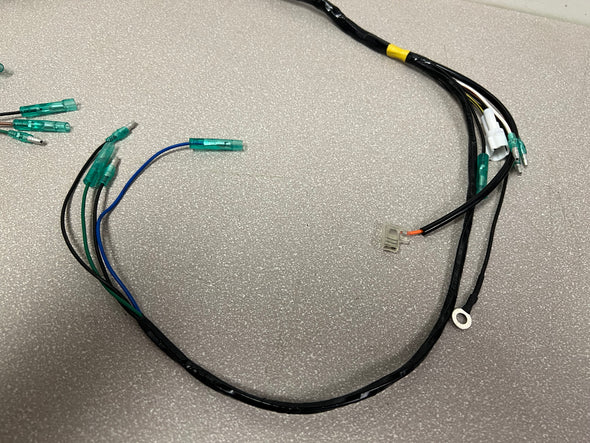 NEW Yamaha BLASTER wiring harness OEM REPLACEMENT 1997-2001 Vito's Performance
